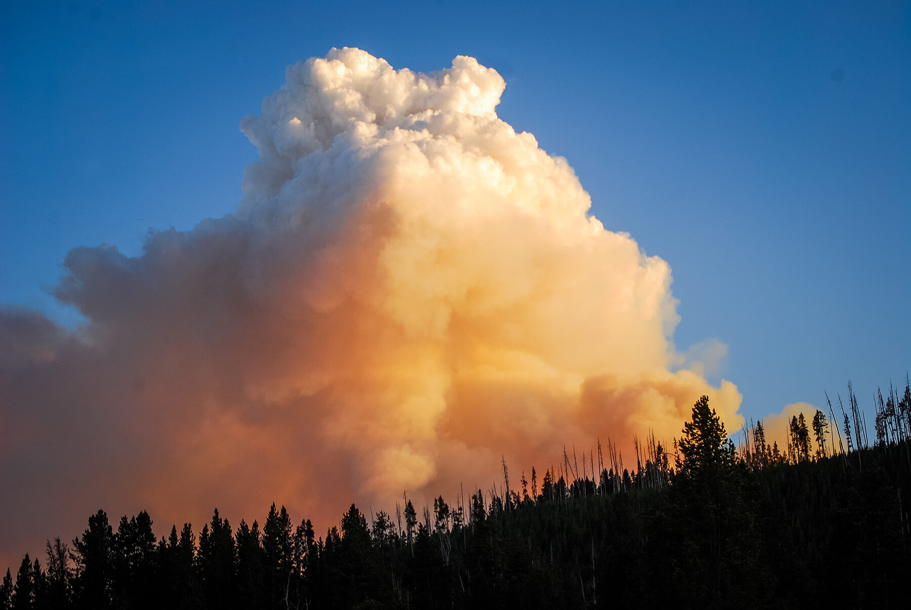 Wildfire Smoke Data Research