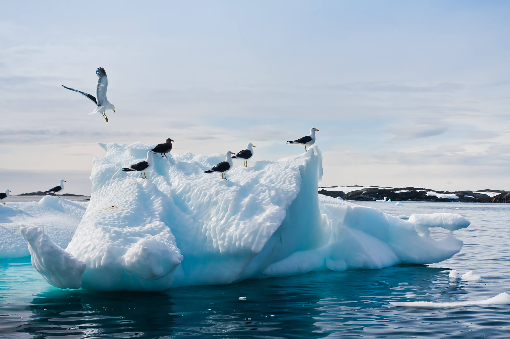 Antarctica Polar Vortex Data and Climate Change